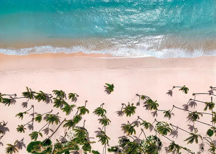 Hyatt Vivid Punta Cana